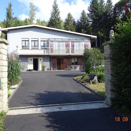 Profiter Du Calme De La Montagne Vosgienne Appartement Saulxures-sur-Moselotte Buitenkant foto