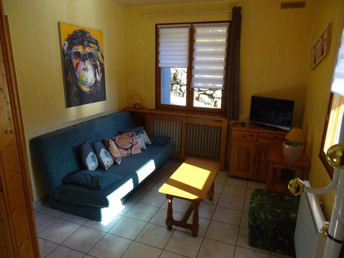 Profiter Du Calme De La Montagne Vosgienne Appartement Saulxures-sur-Moselotte Buitenkant foto